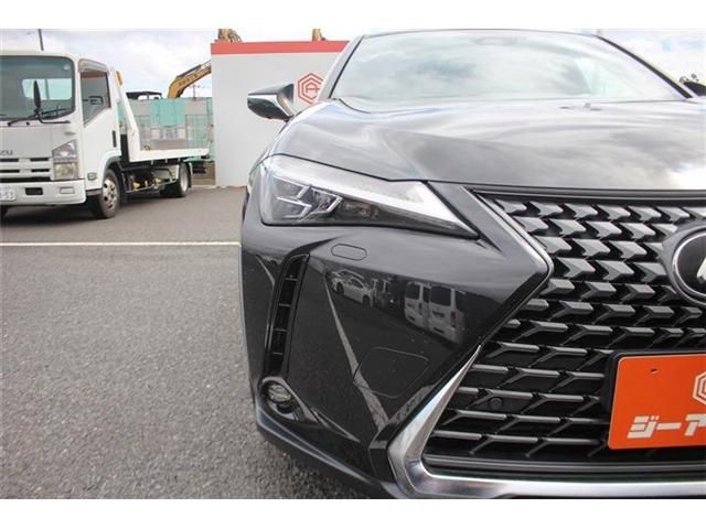 LEXUS UX300h