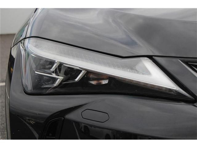 LEXUS UX300h