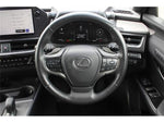 LEXUS UX300h