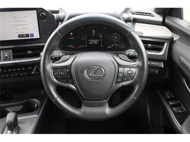 LEXUS UX300h