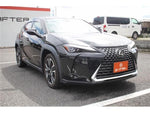 LEXUS UX300h