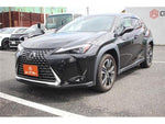LEXUS UX300h