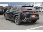 LEXUS UX300h