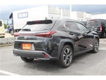 LEXUS UX300h