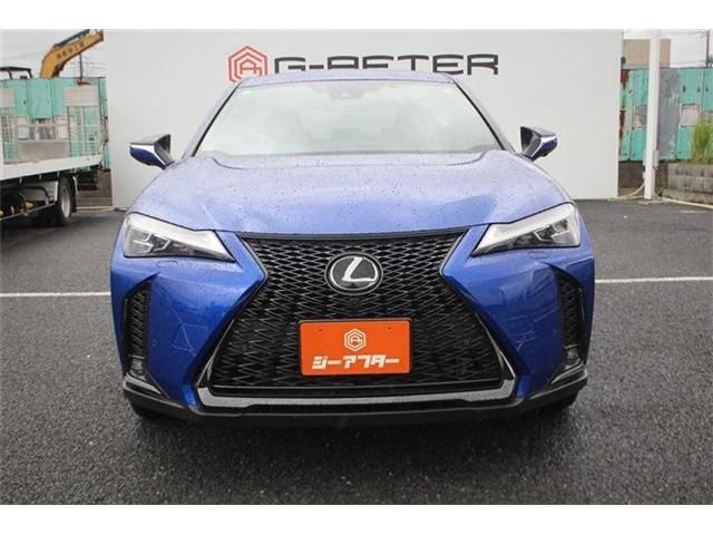 LEXUS UX250h