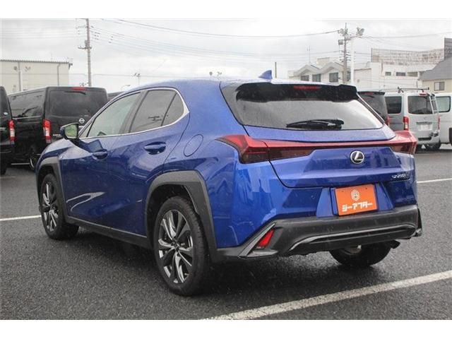 LEXUS UX250h