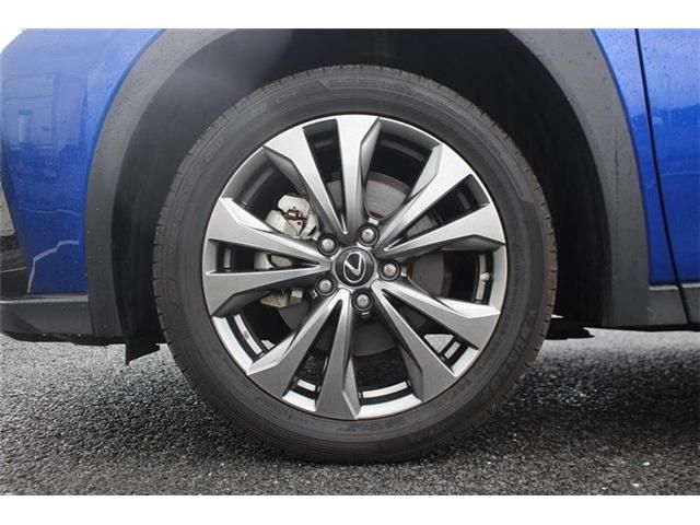 LEXUS UX250h