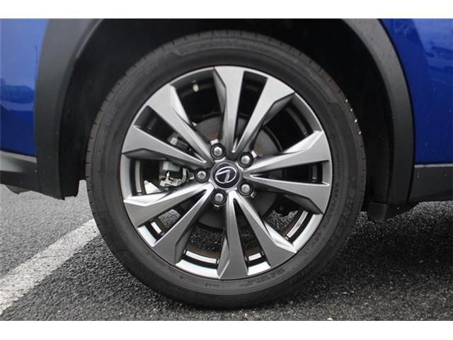 LEXUS UX250h