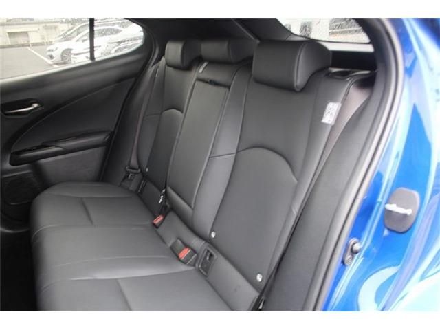 LEXUS UX250h