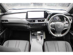 LEXUS UX250h