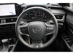 LEXUS UX250h