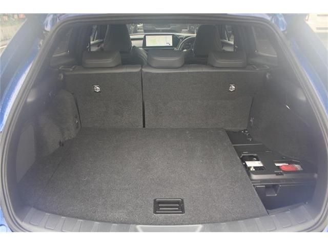LEXUS UX250h