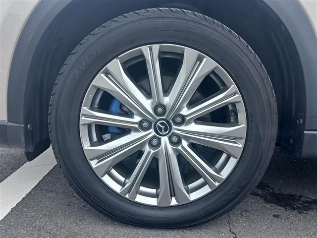 CX-8