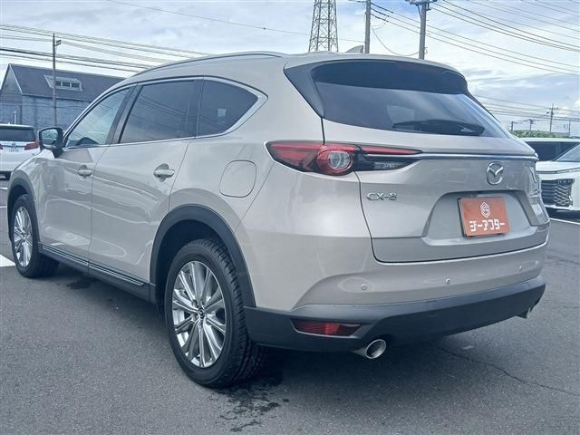 CX-8