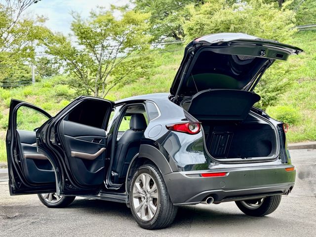 CX-30