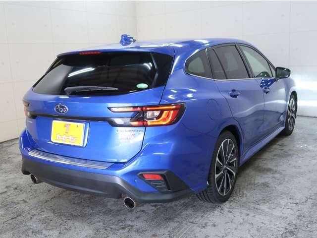 LEVORG