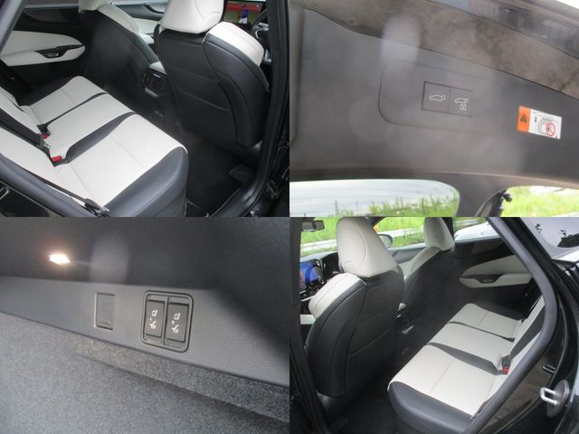 LEXUS NX350h AWD