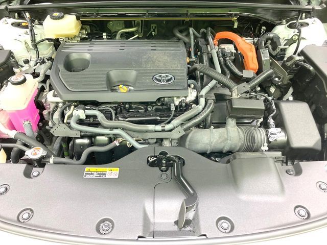 CROWN SPORT