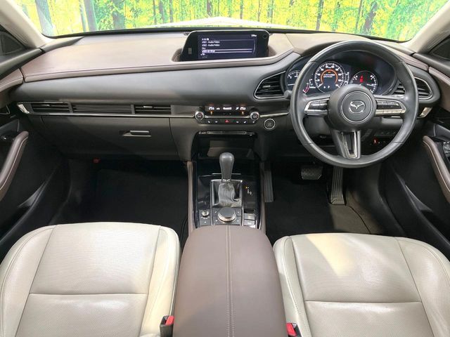 CX-30
