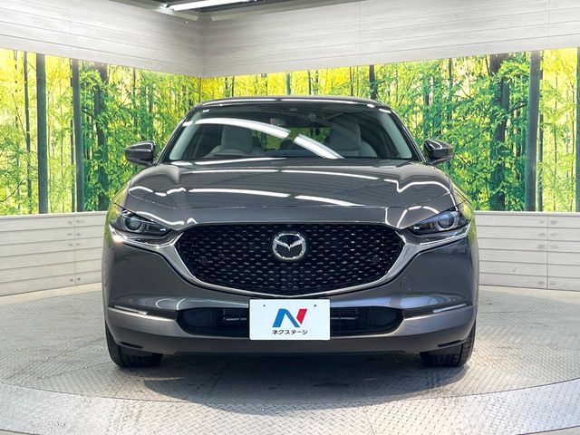 CX-30