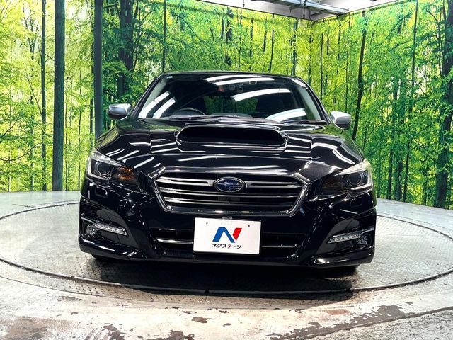 LEVORG