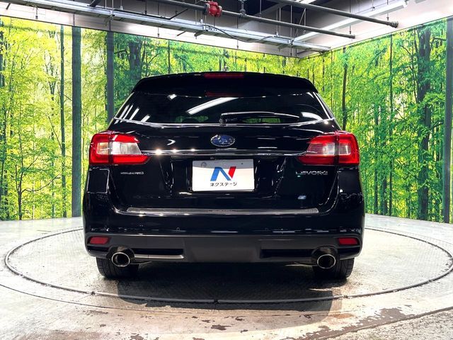 LEVORG