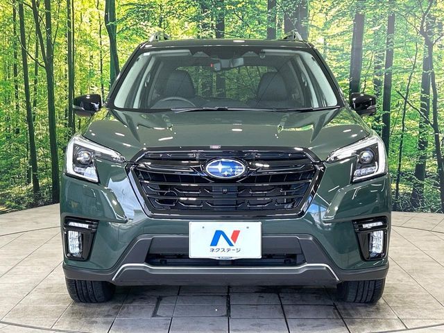 FORESTER