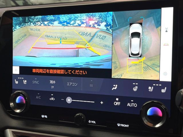 LEXUS RX500h