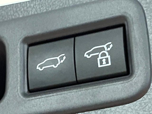 LEXUS RX500h