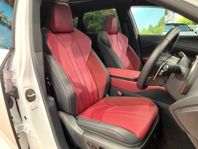 LEXUS RX500h