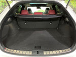 LEXUS RX500h