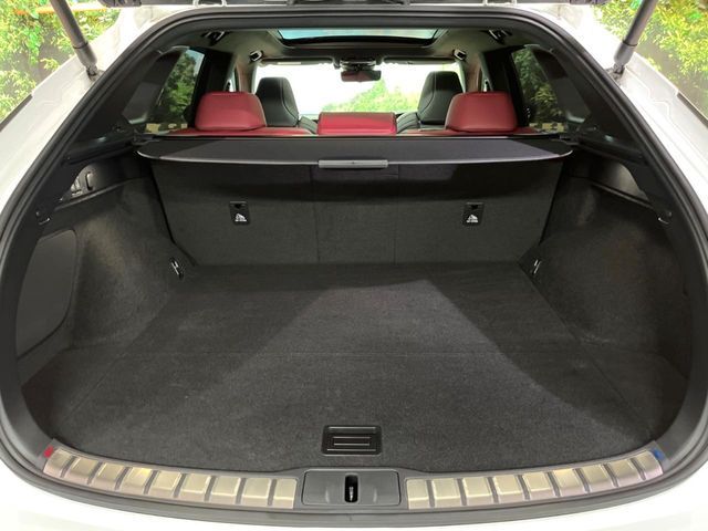 LEXUS RX500h