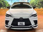 LEXUS RX500h