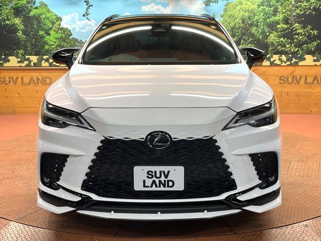 LEXUS RX500h