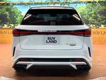 LEXUS RX500h