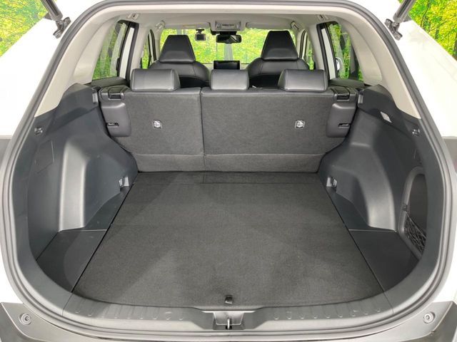 RAV4 HYBRID 4WD