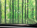 RAV4 HYBRID 4WD