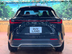 LEXUS NX350h