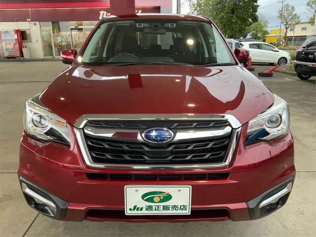 FORESTER