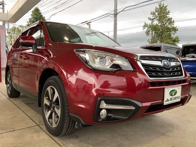 FORESTER