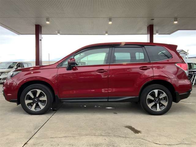 FORESTER
