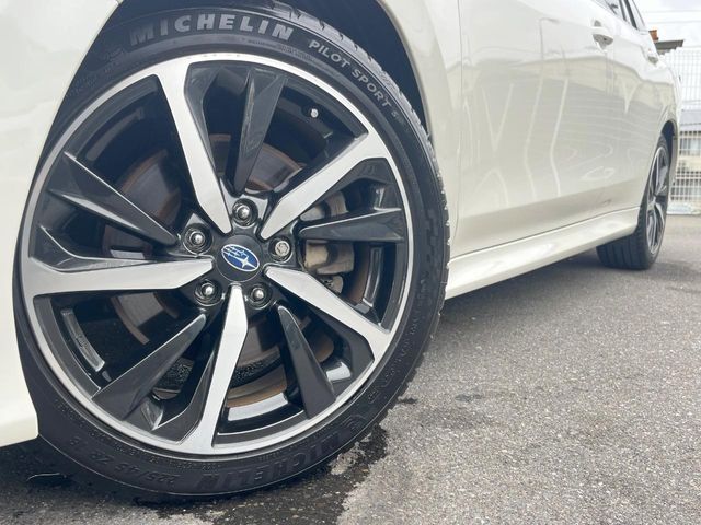 LEVORG