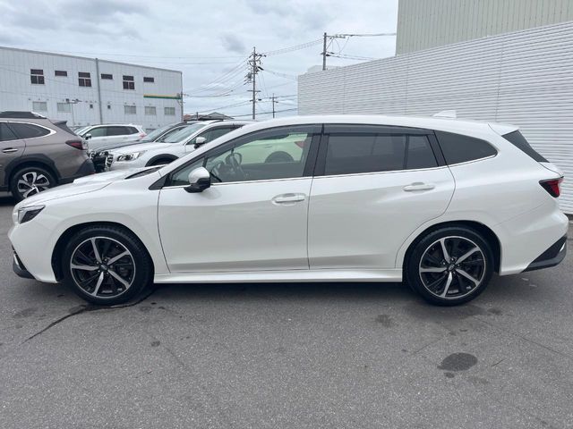 LEVORG