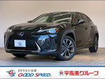 LEXUS UX250h