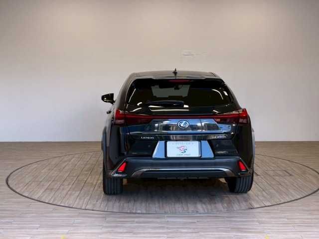 LEXUS UX250h