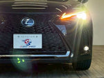 LEXUS UX250h