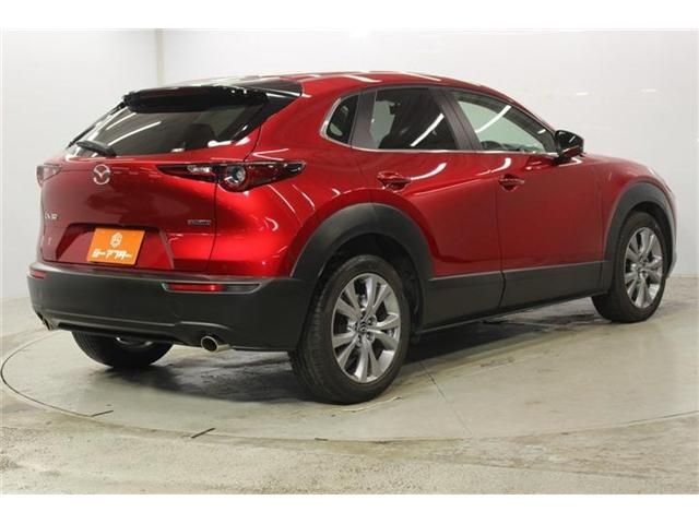 CX-30