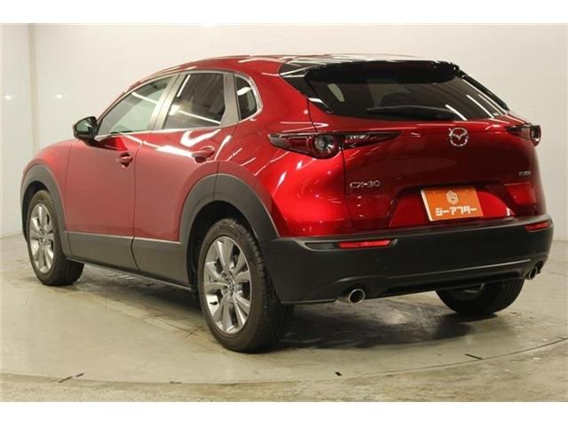 CX-30