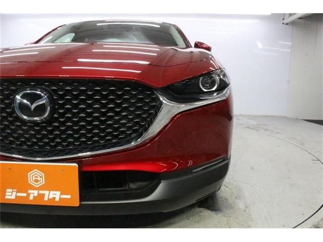 CX-30