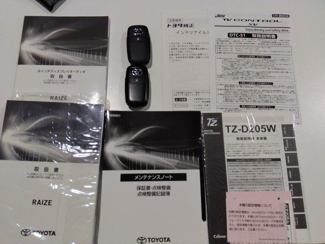 RAIZE